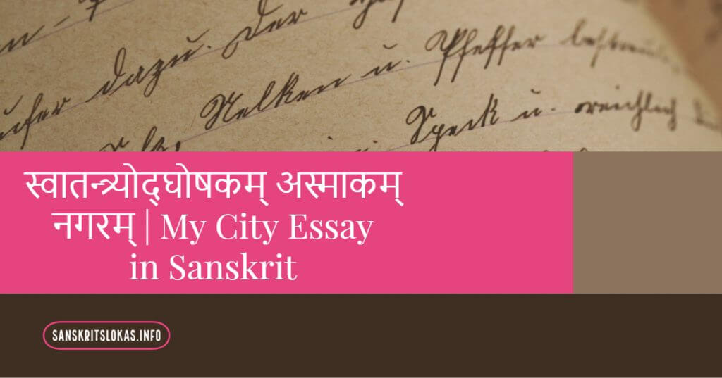 my city essay in sanskrit